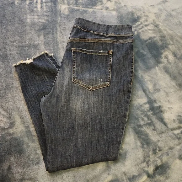 Lane Bryant Jeans - Picture 2 of 8